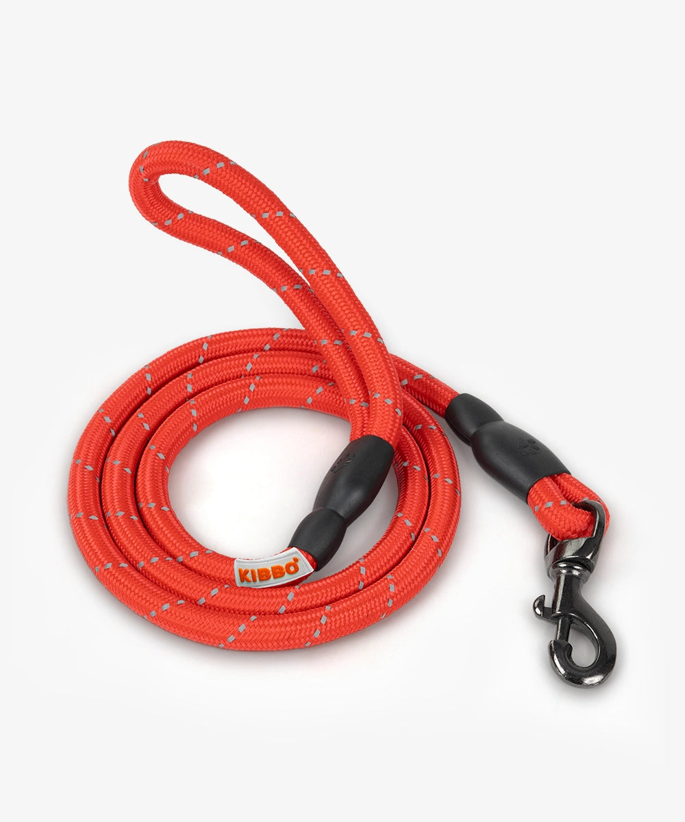 Reflective rope leash