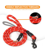 Load image into Gallery viewer, Reflective Rope Leash
