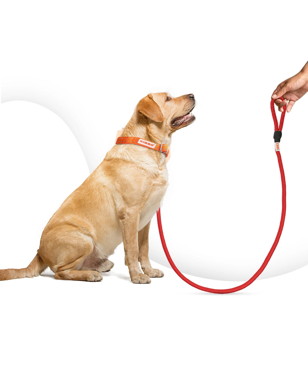 Reflective rope leash