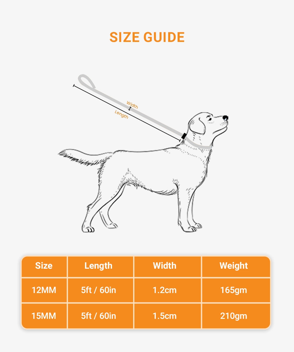 Reflective rope leash