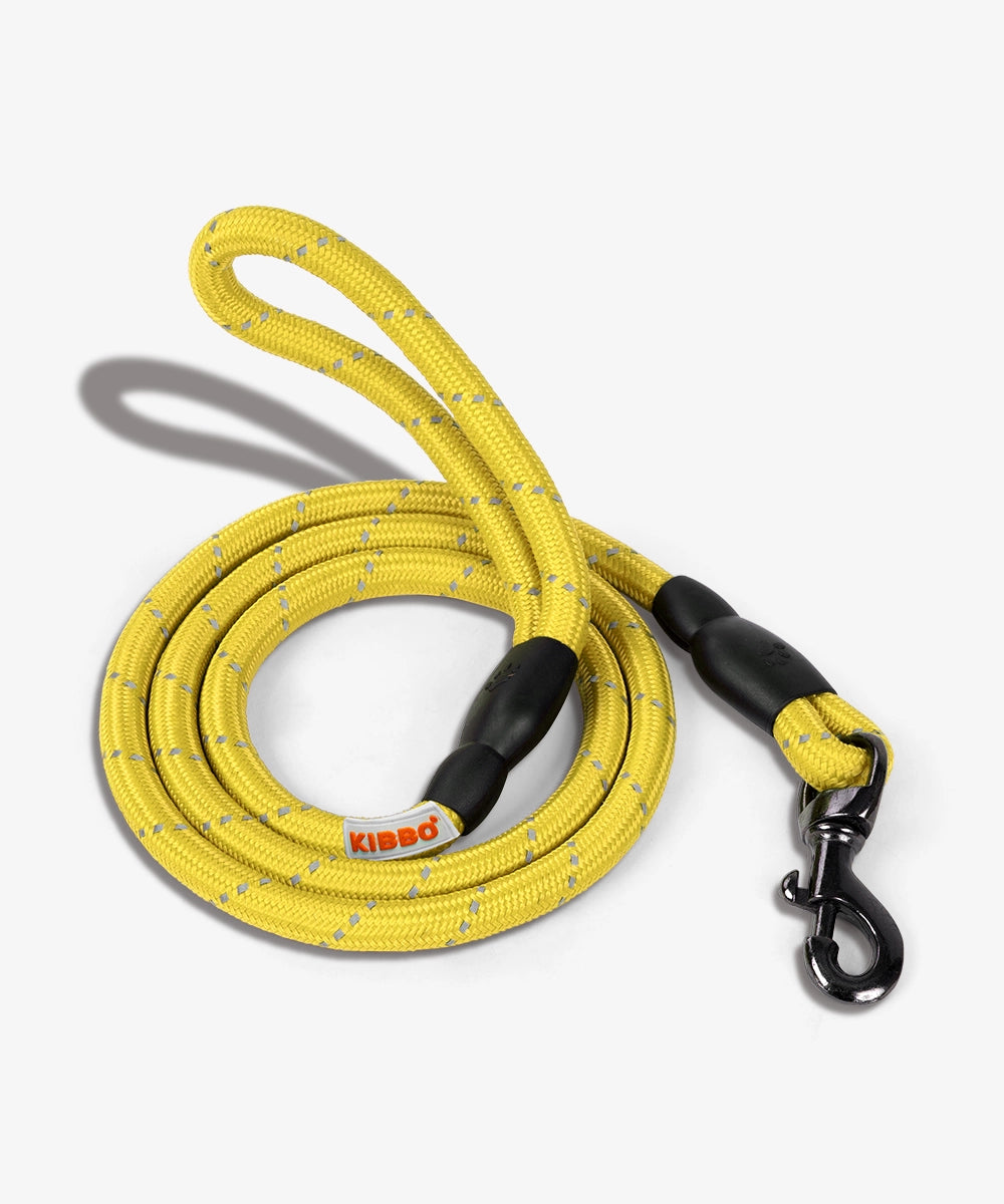 Reflective rope leash