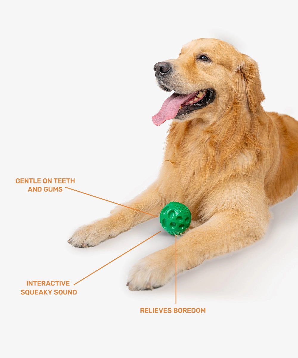 Rubber Toy, Squeaky Ball, Green