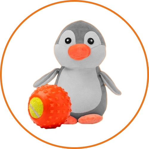 toys for pet