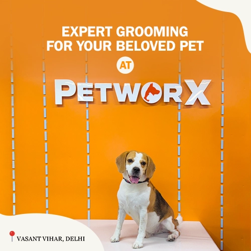 petworx